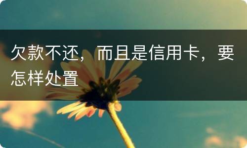 欠款不还，而且是信用卡，要怎样处置