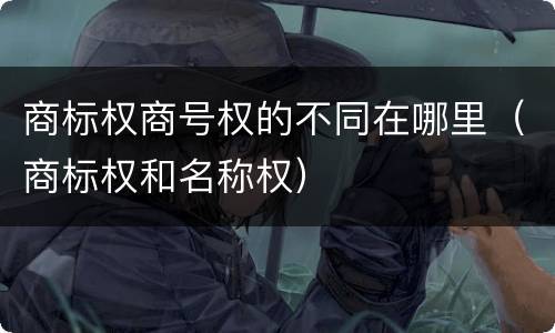 商标权商号权的不同在哪里（商标权和名称权）