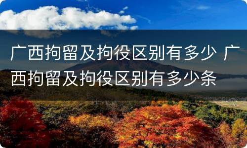 广西拘留及拘役区别有多少 广西拘留及拘役区别有多少条