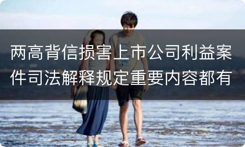 两高背信损害上市公司利益案件司法解释规定重要内容都有哪些