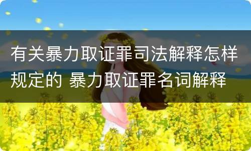 有关暴力取证罪司法解释怎样规定的 暴力取证罪名词解释