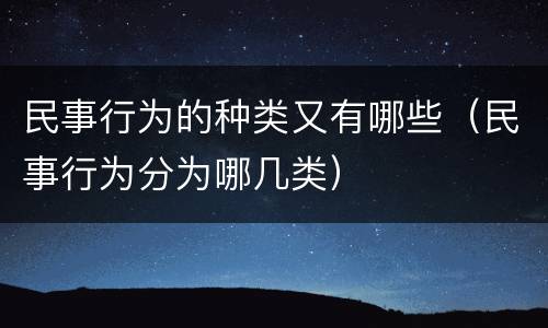 民事行为的种类又有哪些（民事行为分为哪几类）