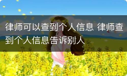 律师可以查到个人信息 律师查到个人信息告诉别人