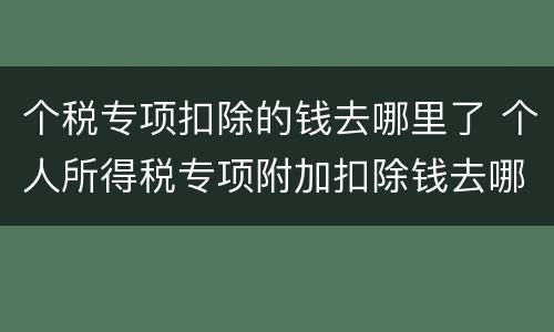 个税专项扣除的钱去哪里了 个人所得税专项附加扣除钱去哪儿