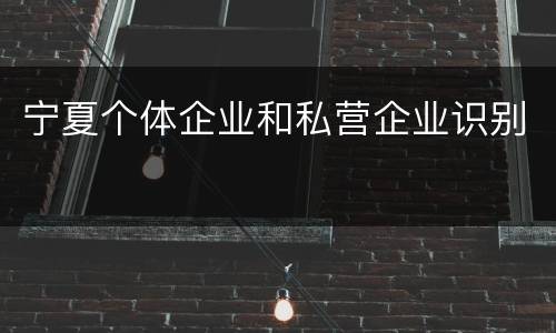 宁夏个体企业和私营企业识别
