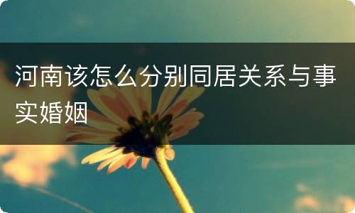 河南该怎么分别同居关系与事实婚姻