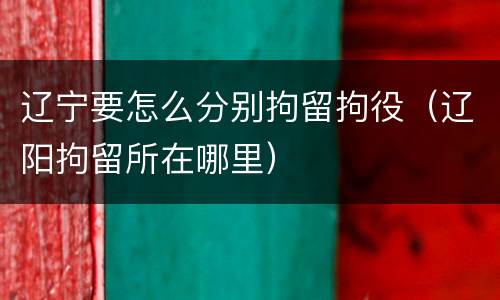 辽宁要怎么分别拘留拘役（辽阳拘留所在哪里）