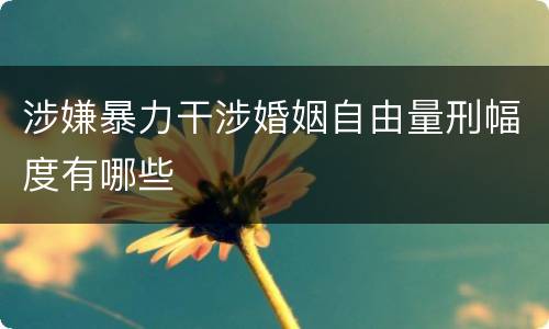 涉嫌暴力干涉婚姻自由量刑幅度有哪些