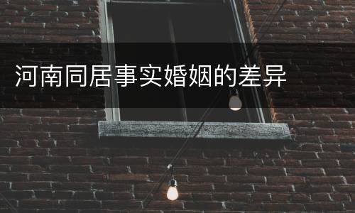 河南同居事实婚姻的差异