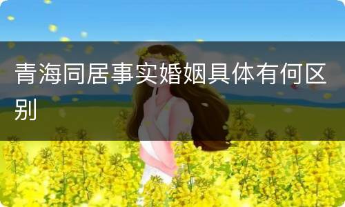 青海同居事实婚姻具体有何区别