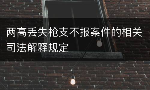 两高丢失枪支不报案件的相关司法解释规定
