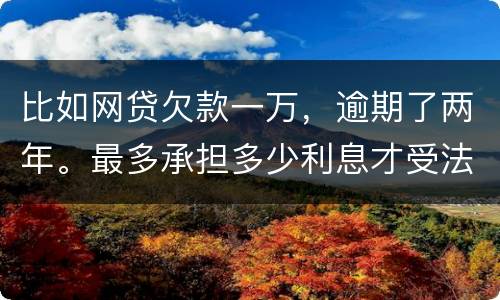 比如网贷欠款一万，逾期了两年。最多承担多少利息才受法律保护的？换言之，网贷利息受