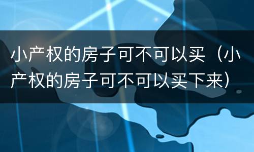 小产权的房子可不可以买（小产权的房子可不可以买下来）