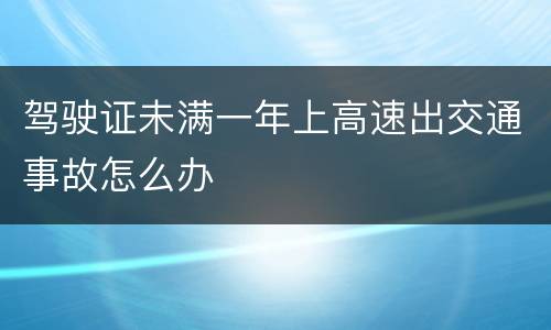 驾驶证未满一年上高速出交通事故怎么办