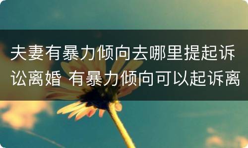 夫妻有暴力倾向去哪里提起诉讼离婚 有暴力倾向可以起诉离婚吗