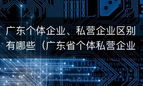 广东个体企业、私营企业区别有哪些（广东省个体私营企业）