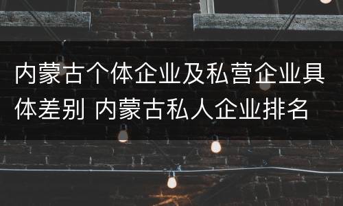 内蒙古个体企业及私营企业具体差别 内蒙古私人企业排名