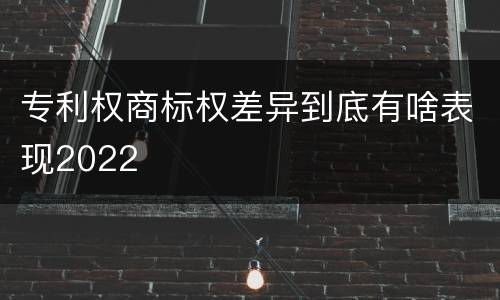 专利权商标权差异到底有啥表现2022