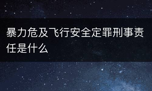暴力危及飞行安全定罪刑事责任是什么