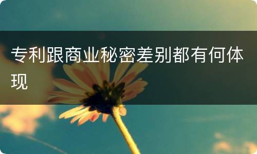 专利跟商业秘密差别都有何体现