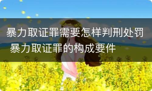 暴力取证罪需要怎样判刑处罚 暴力取证罪的构成要件