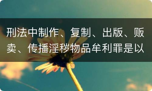 刑法中制作、复制、出版、贩卖、传播淫秽物品牟利罪是以什么标准立案的