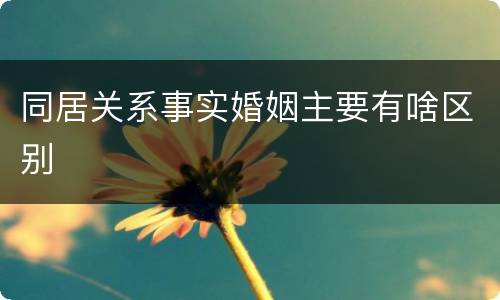 同居关系事实婚姻主要有啥区别