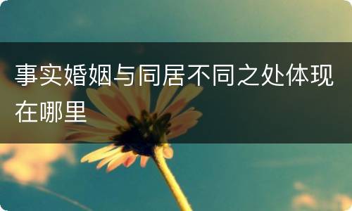 事实婚姻与同居不同之处体现在哪里