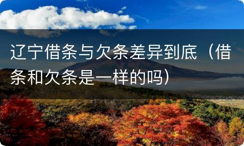 辽宁借条与欠条差异到底（借条和欠条是一样的吗）