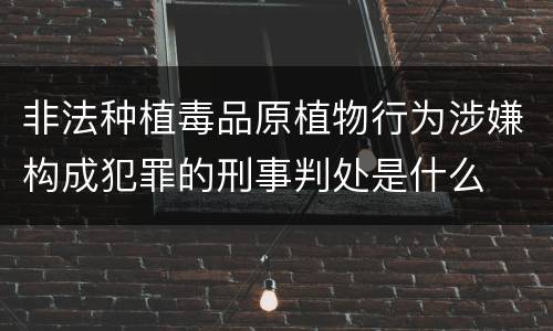 非法种植毒品原植物行为涉嫌构成犯罪的刑事判处是什么