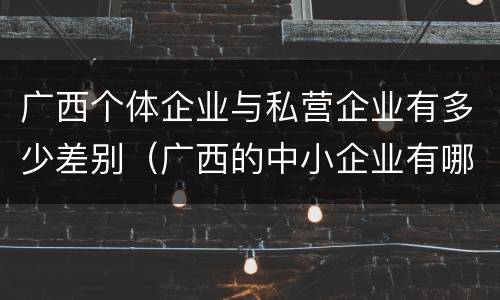 广西个体企业与私营企业有多少差别（广西的中小企业有哪些）