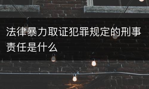 法律暴力取证犯罪规定的刑事责任是什么