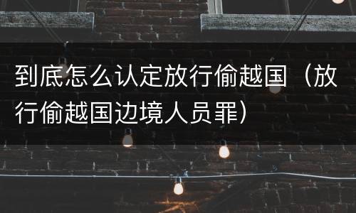 到底怎么认定放行偷越国（放行偷越国边境人员罪）