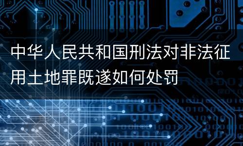 中华人民共和国刑法对非法征用土地罪既遂如何处罚