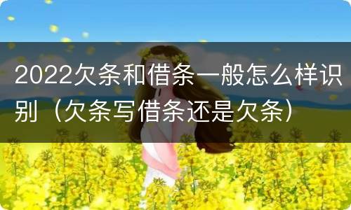 2022欠条和借条一般怎么样识别（欠条写借条还是欠条）