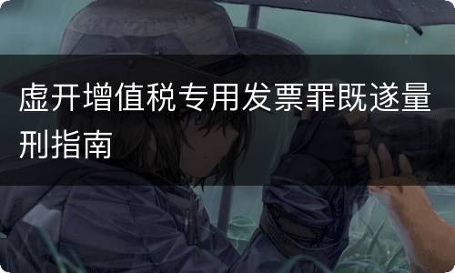 虚开增值税专用发票罪既遂量刑指南