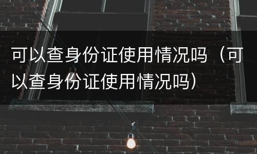 可以查身份证使用情况吗（可以查身份证使用情况吗）