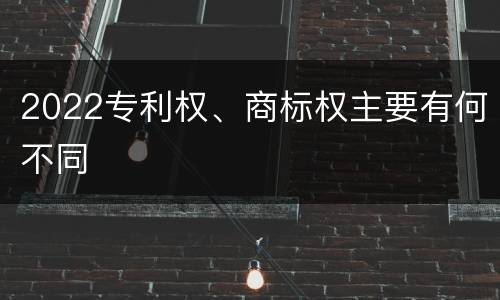 2022专利权、商标权主要有何不同