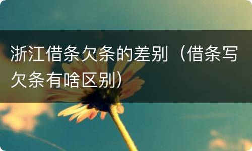 浙江借条欠条的差别（借条写欠条有啥区别）