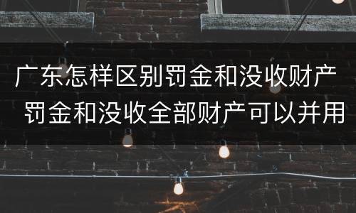 广东怎样区别罚金和没收财产 罚金和没收全部财产可以并用吗