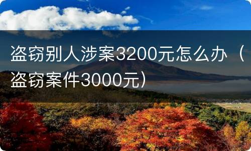 盗窃别人涉案3200元怎么办（盗窃案件3000元）
