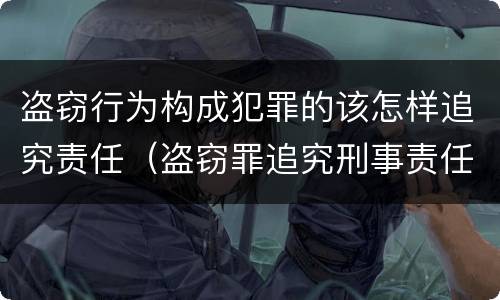 盗窃行为构成犯罪的该怎样追究责任（盗窃罪追究刑事责任）