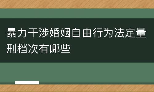 暴力干涉婚姻自由行为法定量刑档次有哪些