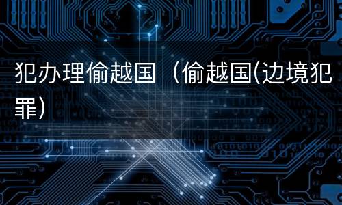 犯办理偷越国（偷越国(边境犯罪）