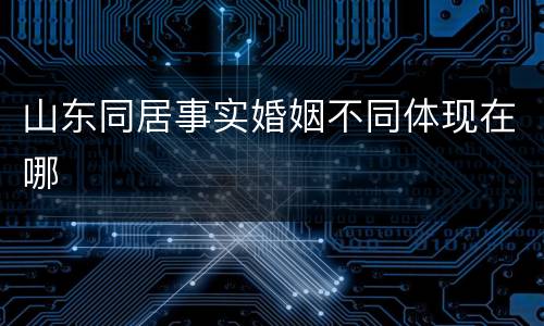 山东同居事实婚姻不同体现在哪
