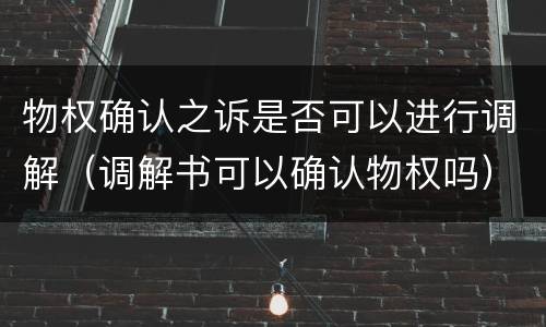 物权确认之诉是否可以进行调解（调解书可以确认物权吗）