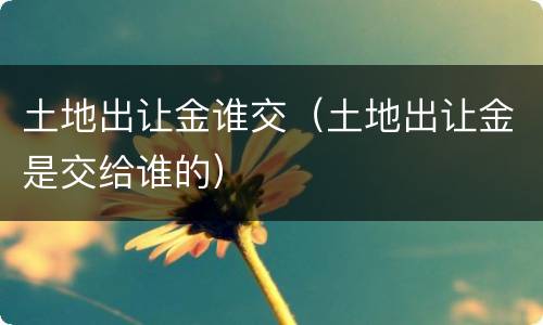 土地出让金谁交（土地出让金是交给谁的）