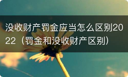 没收财产罚金应当怎么区别2022（罚金和没收财产区别）
