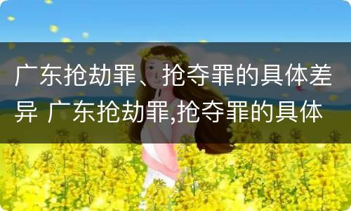 广东抢劫罪、抢夺罪的具体差异 广东抢劫罪,抢夺罪的具体差异是多少