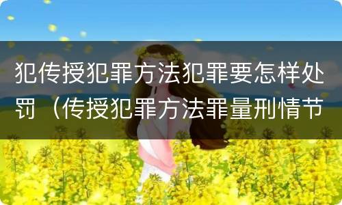犯传授犯罪方法犯罪要怎样处罚（传授犯罪方法罪量刑情节严重）